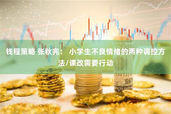 钱程策略 张秋宪： 小学生不良情绪的两种调控方法/课改需要行动