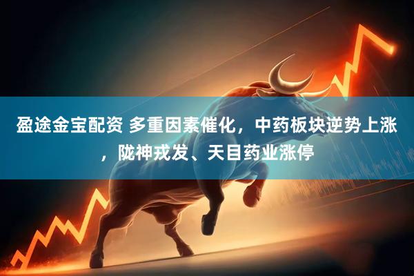 盈途金宝配资 多重因素催化，中药板块逆势上涨，陇神戎发、天目药业涨停